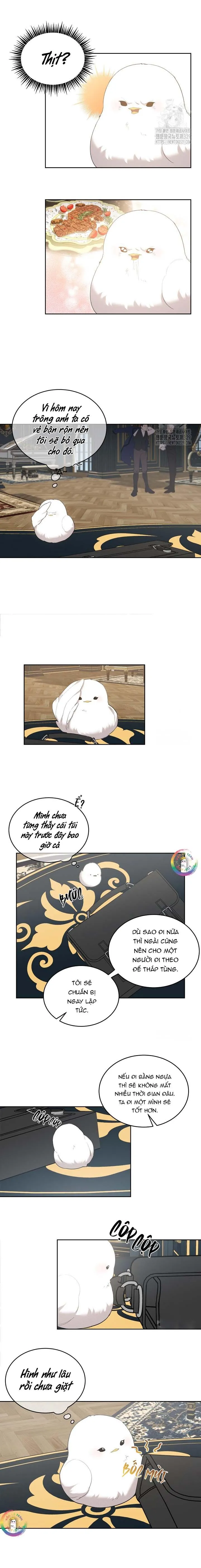 (END) Này, Đừng Có Nhấn Cái Nút Đó! Chapter 8 Trang 9