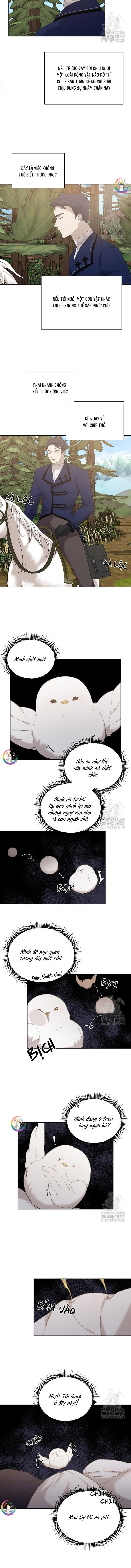 (END) Này, Đừng Có Nhấn Cái Nút Đó! Chapter 9 Trang 5