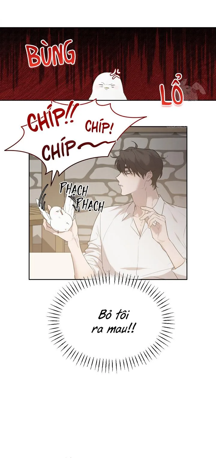 (END) Này, Đừng Có Nhấn Cái Nút Đó! Chapter 14 Trang 12