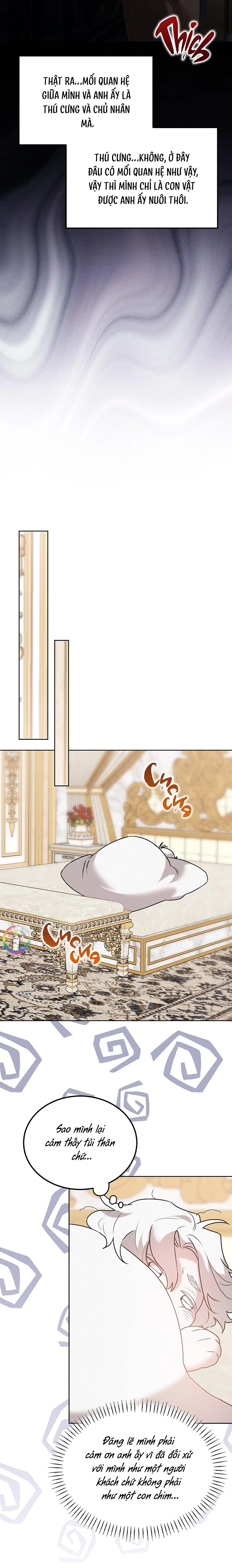 (END) Này, Đừng Có Nhấn Cái Nút Đó! Chapter 29 Trang 15