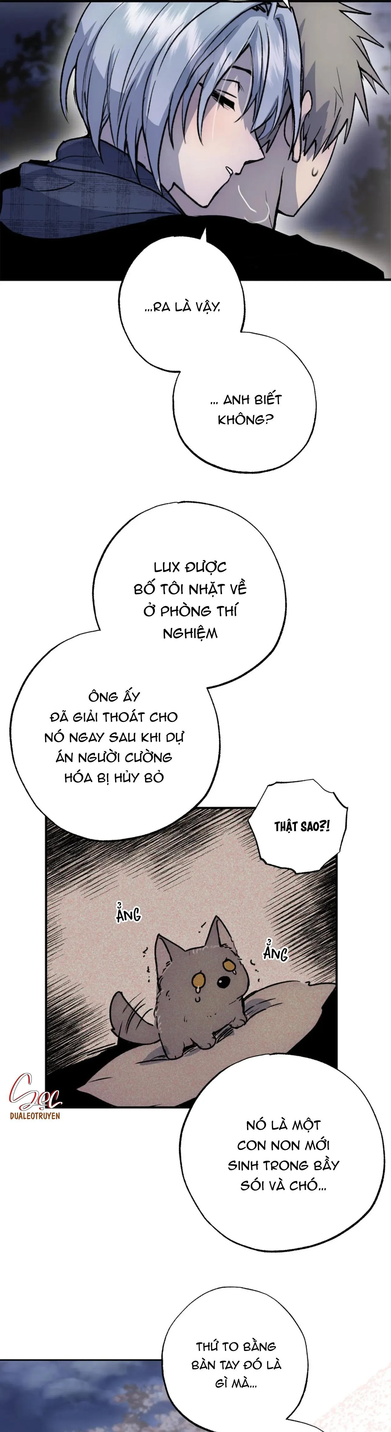 NEW ROMANCE Chapter 25 Trang 28