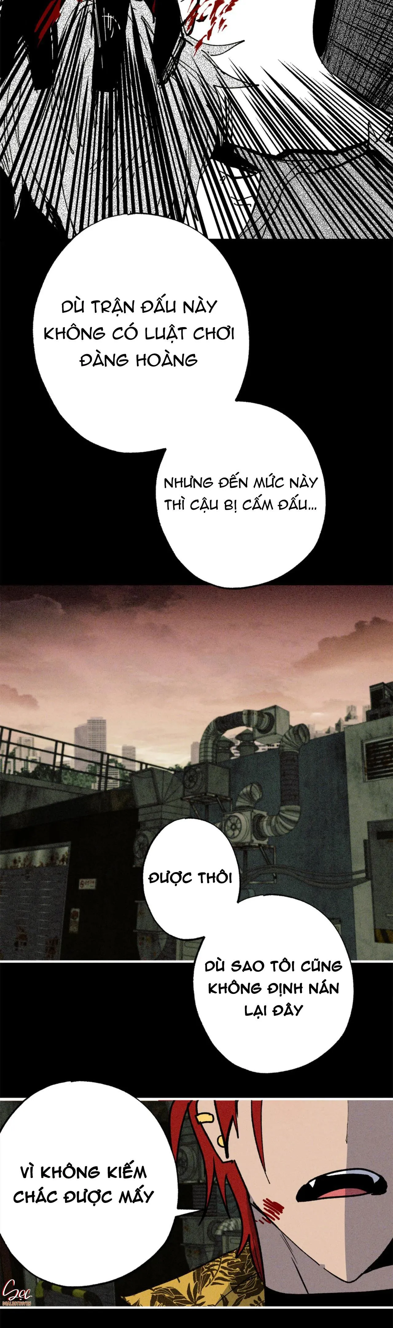 NEW ROMANCE Chapter 28 Trang 13