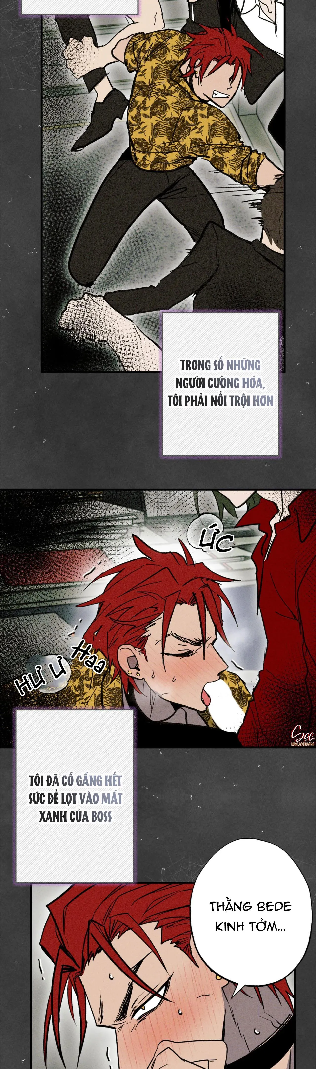 NEW ROMANCE Chapter 28 Trang 22