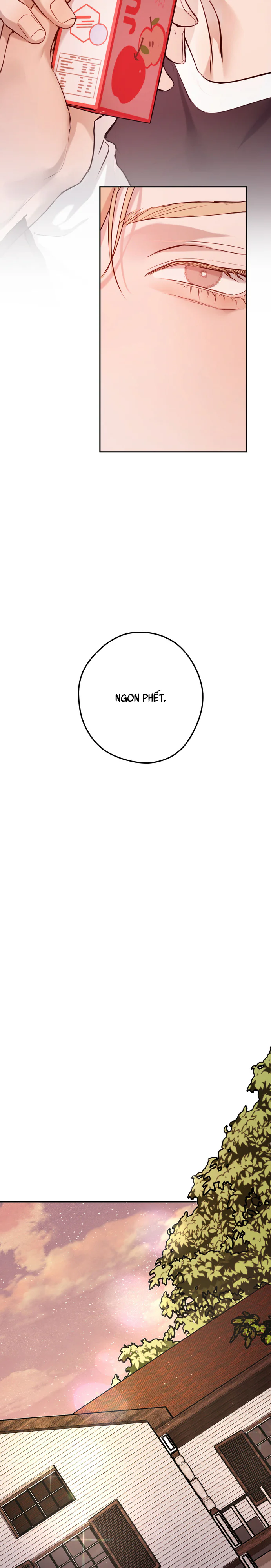 NEST Chapter 3 Trang 6