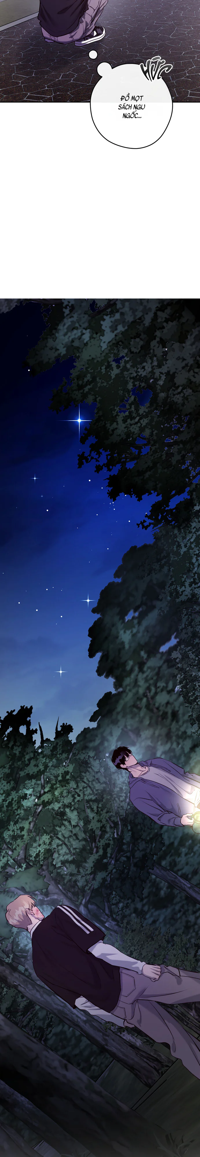 NEST Chapter 3 Trang 13