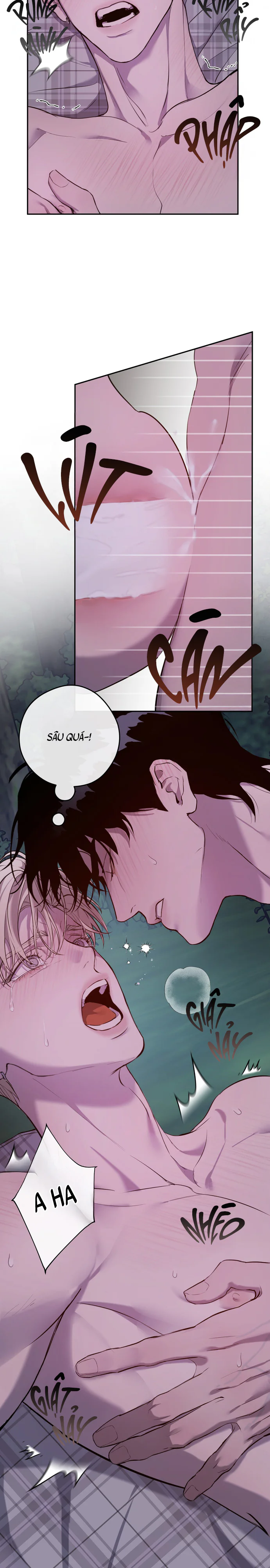 NEST Chapter 4 Trang 24