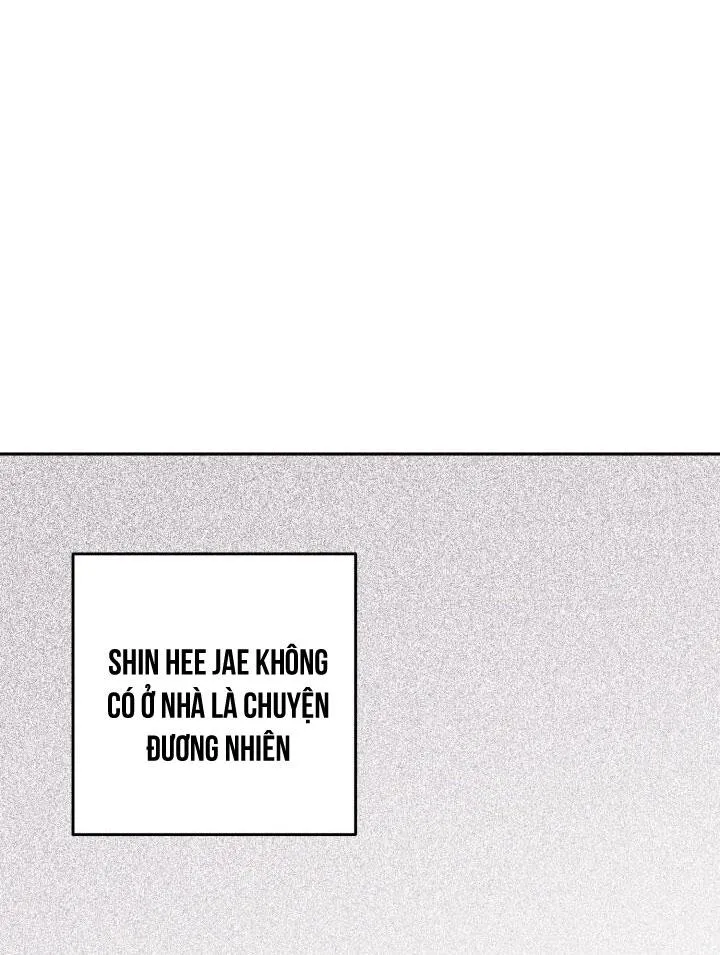 NETKAMA PUNCH!! Chapter 20 Trang 14