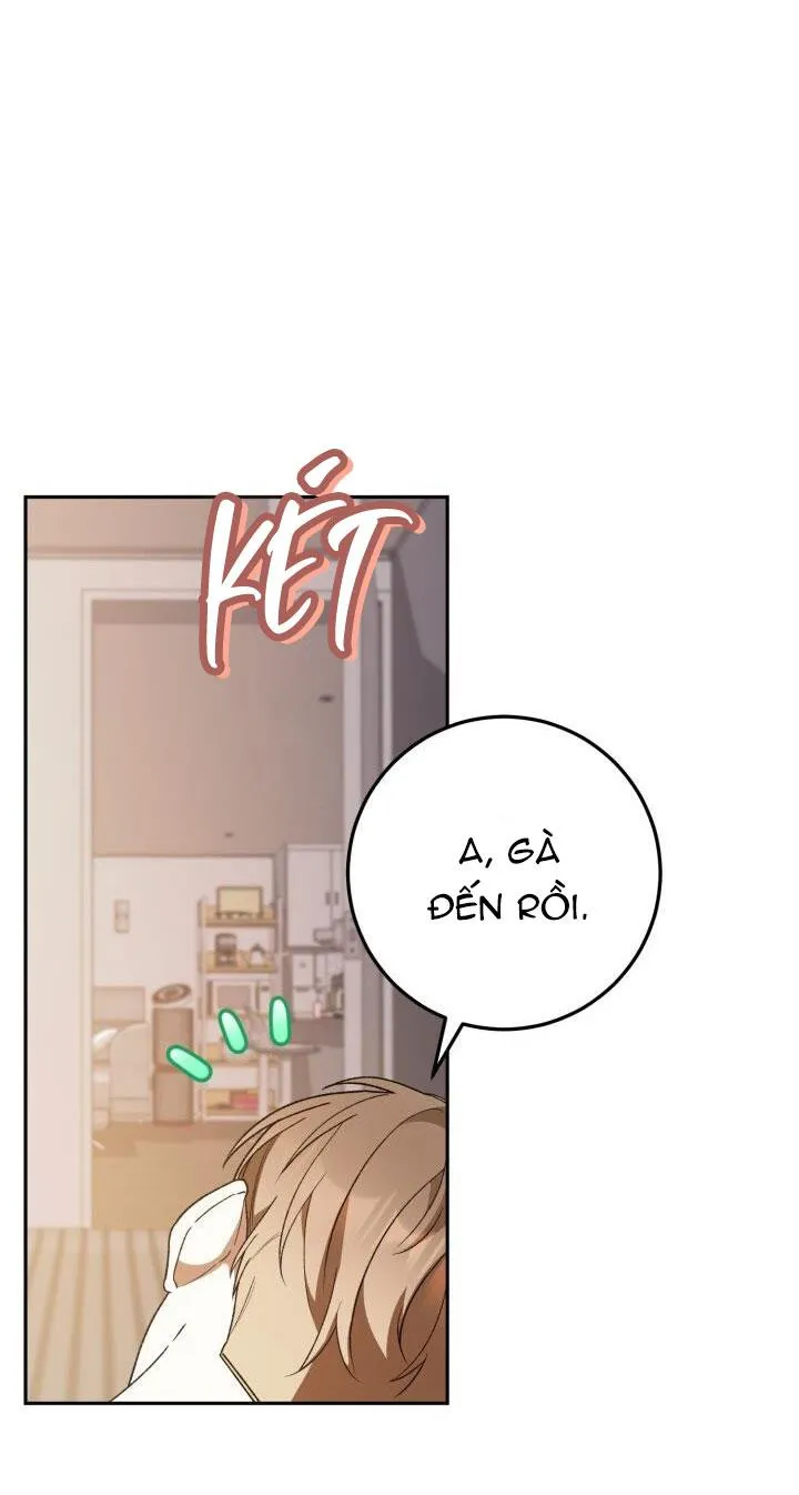 NETKAMA PUNCH!! Chapter 31 Trang 12