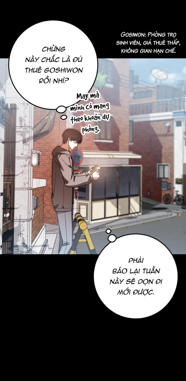 NETKAMA PUNCH!! Chapter 64 Trang 71