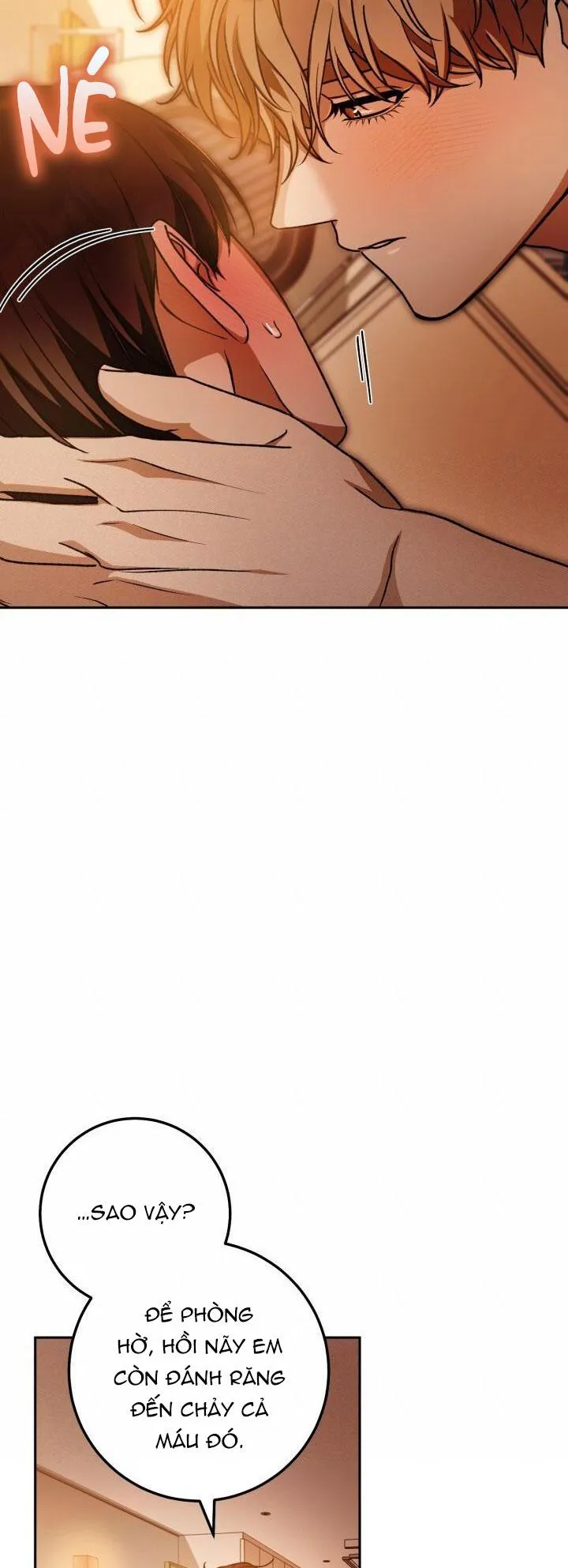 NETKAMA PUNCH!! Chapter 68 Trang 12