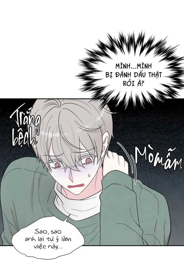 NẾU KHÔNG LÀ ĐỊNH MỆNH THÌ LÀ GÌ? Chapter 4 Trang 21