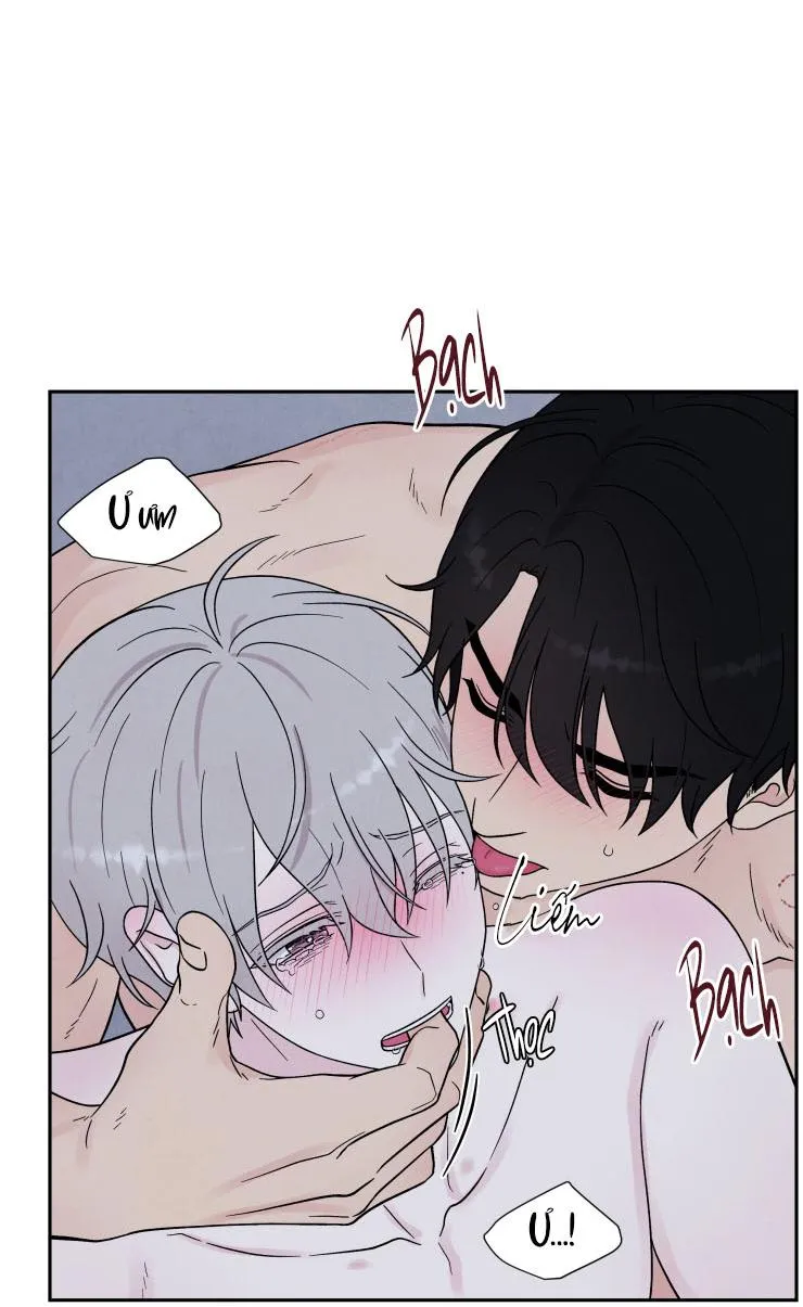 NẾU KHÔNG LÀ ĐỊNH MỆNH THÌ LÀ GÌ? Chapter 5 Trang 46