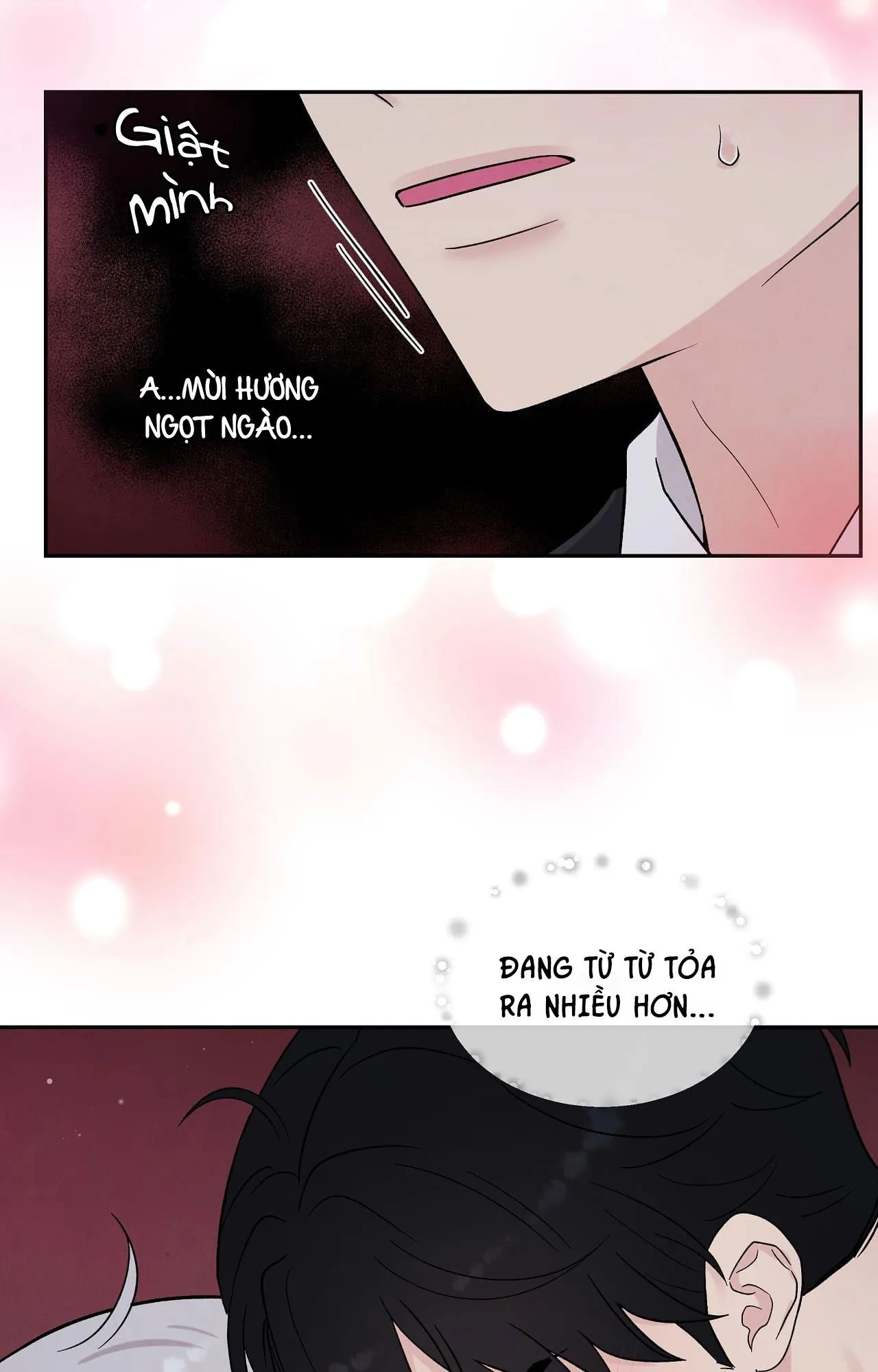 NẾU KHÔNG LÀ ĐỊNH MỆNH THÌ LÀ GÌ? Chapter 8 Trang 28