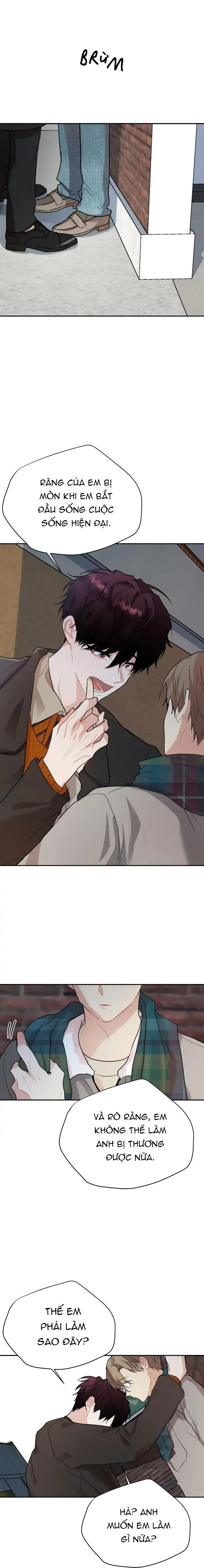 (END) Nếu Như Cậu Bạn Hàng Xóm Là Vampire? Chapter 55 Trang 16