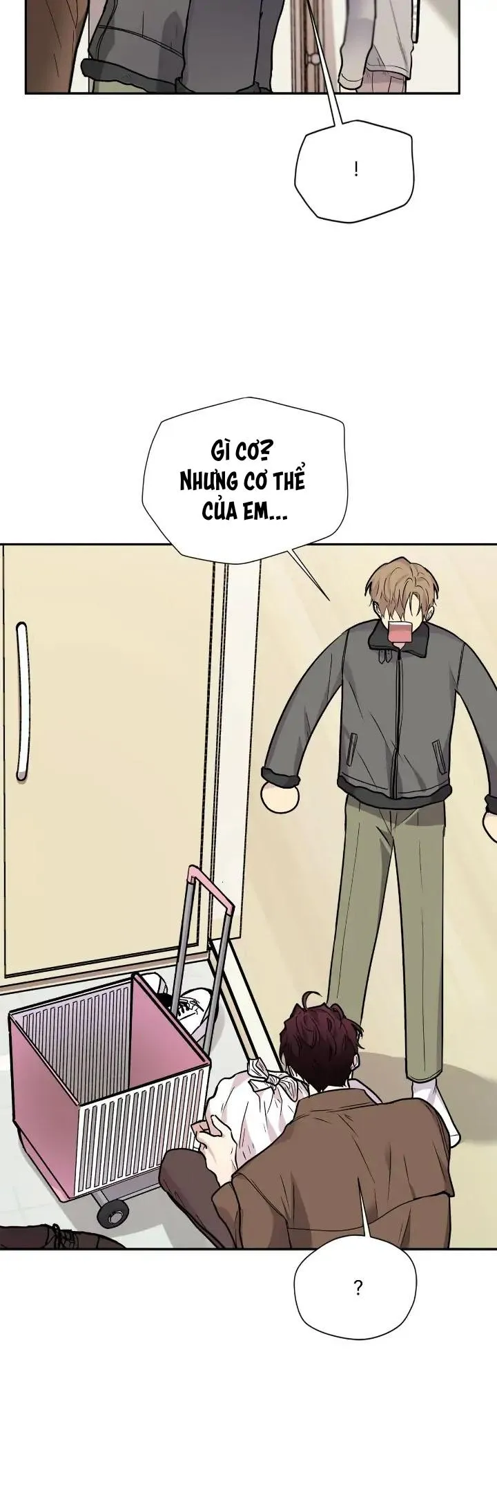 (END) Nếu Như Cậu Bạn Hàng Xóm Là Vampire? Chapter 61 Trang 12