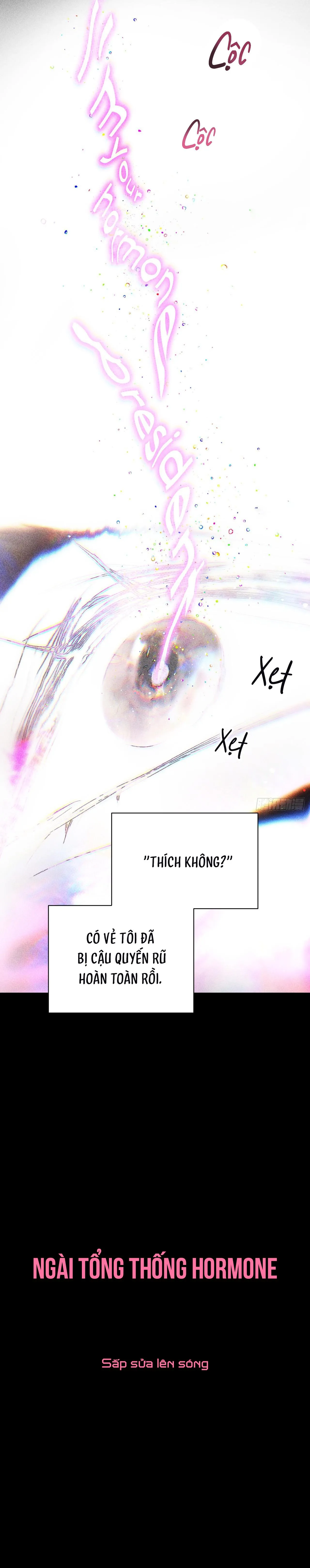 Ngài Tổng Thống Hormone Chapter 0 Trang 11