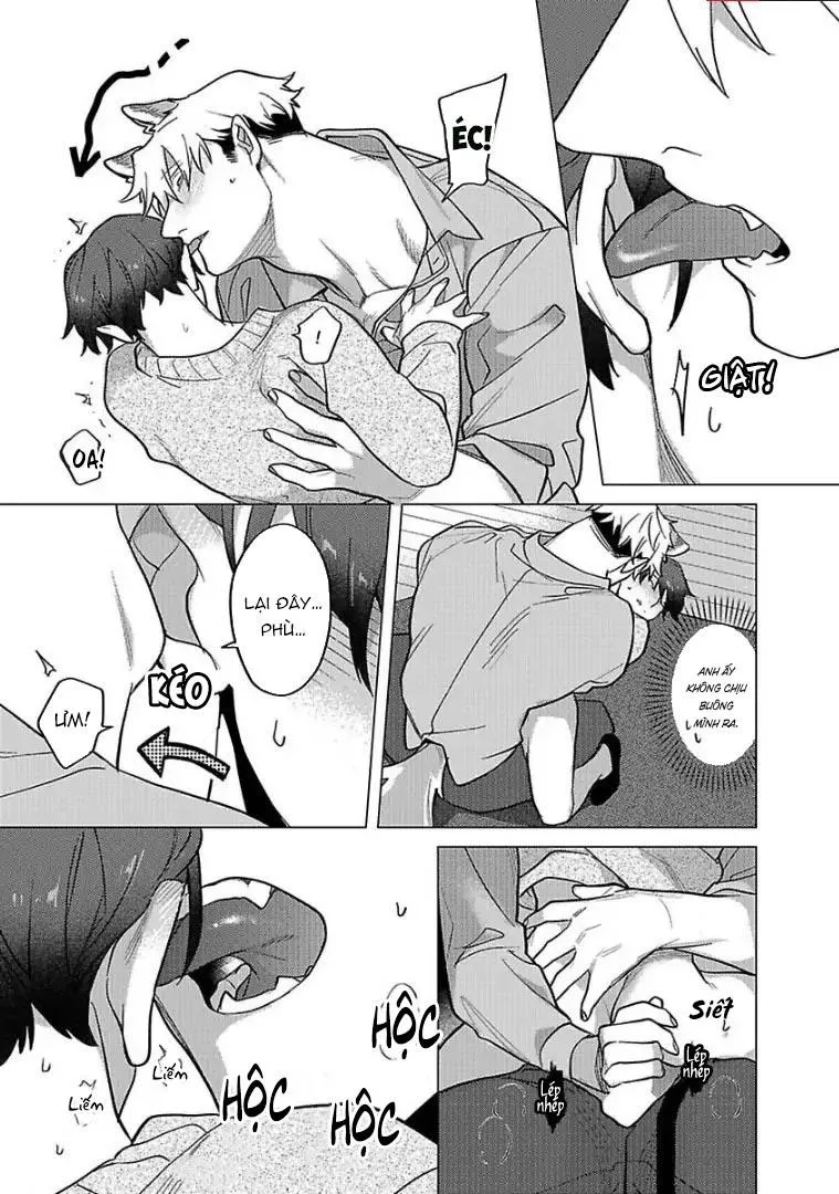 Ngấu nghiến tôi và cho tôi biết thế nào là yêu Chapter 3 Trang 17