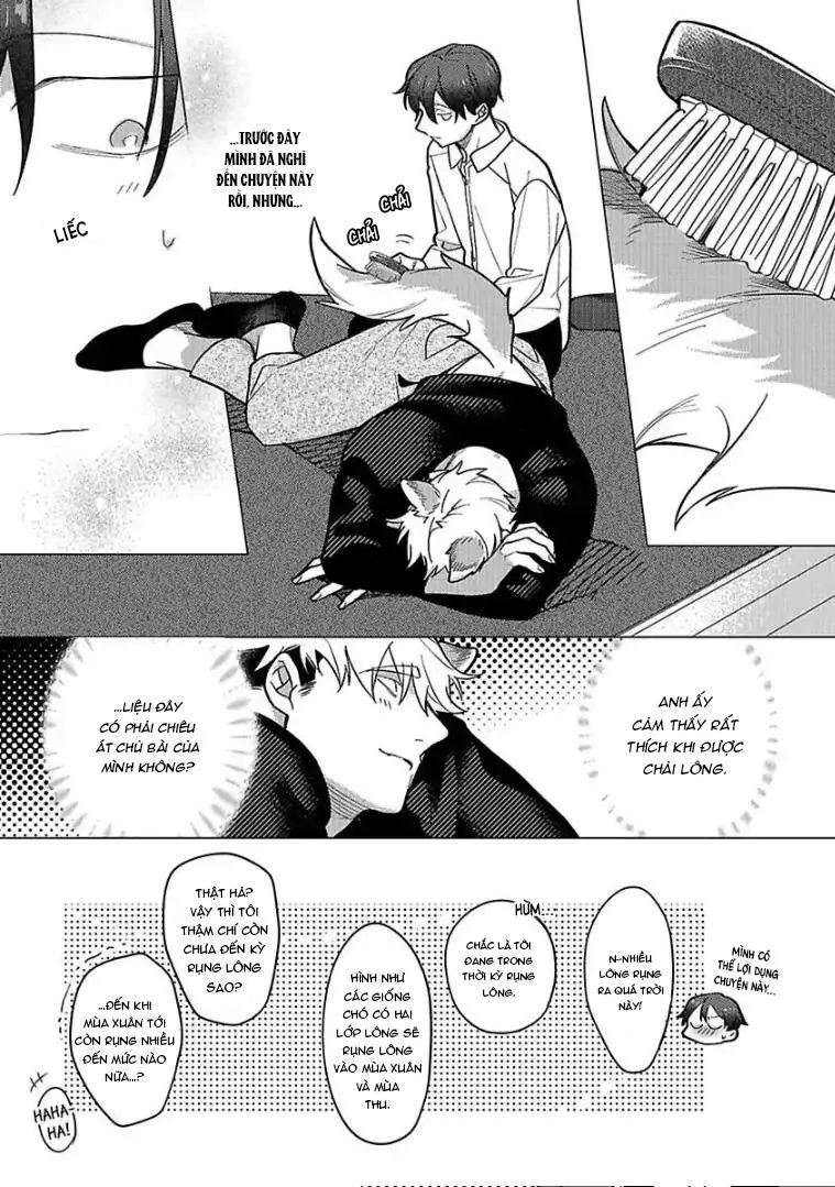 Ngấu nghiến tôi và cho tôi biết thế nào là yêu Chapter 4 Trang 17