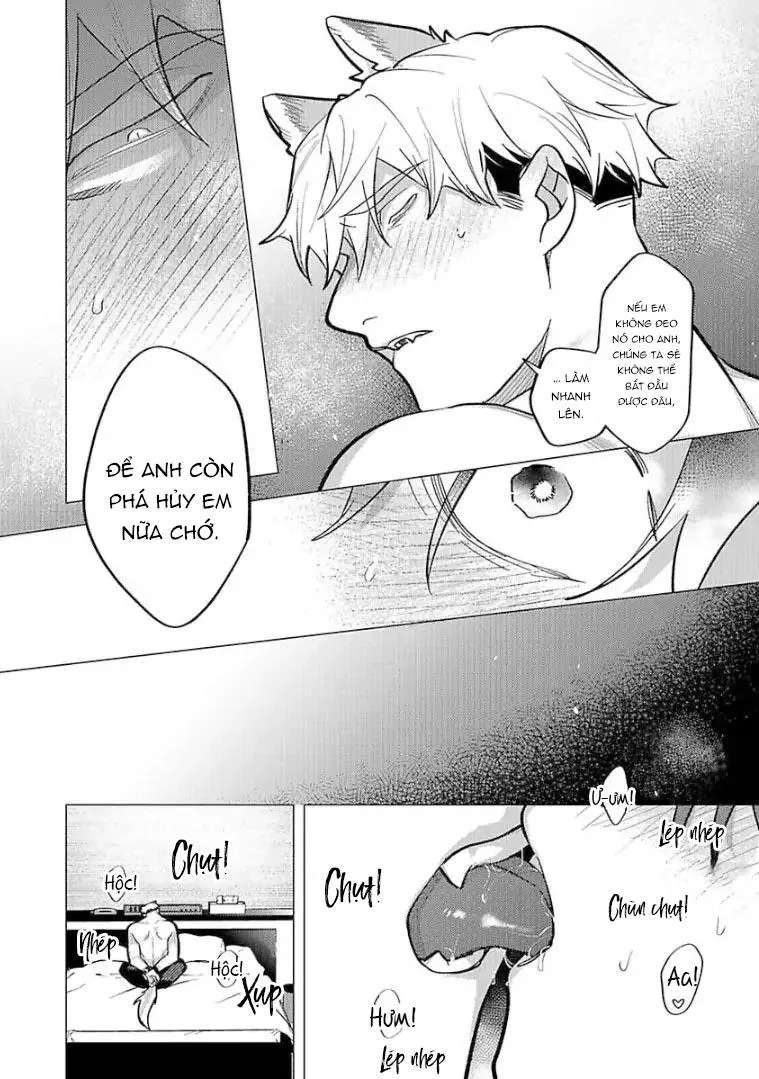 Ngấu nghiến tôi và cho tôi biết thế nào là yêu Chapter 6 Trang 12