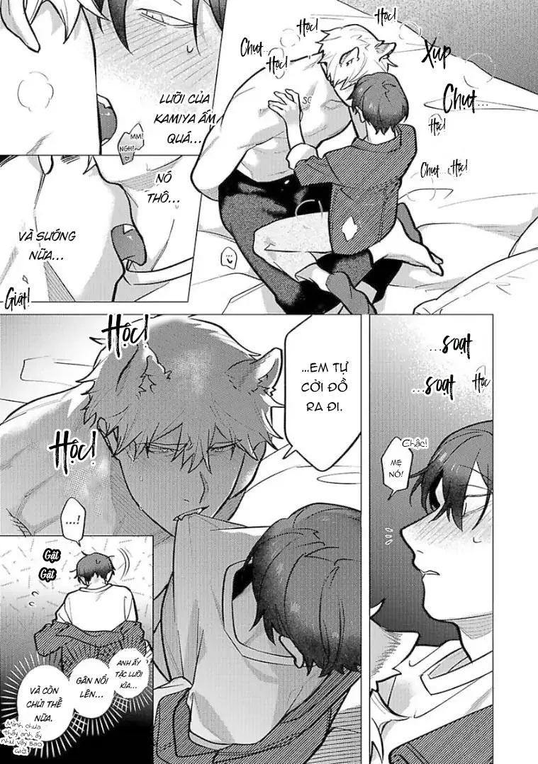 Ngấu nghiến tôi và cho tôi biết thế nào là yêu Chapter 6 Trang 13