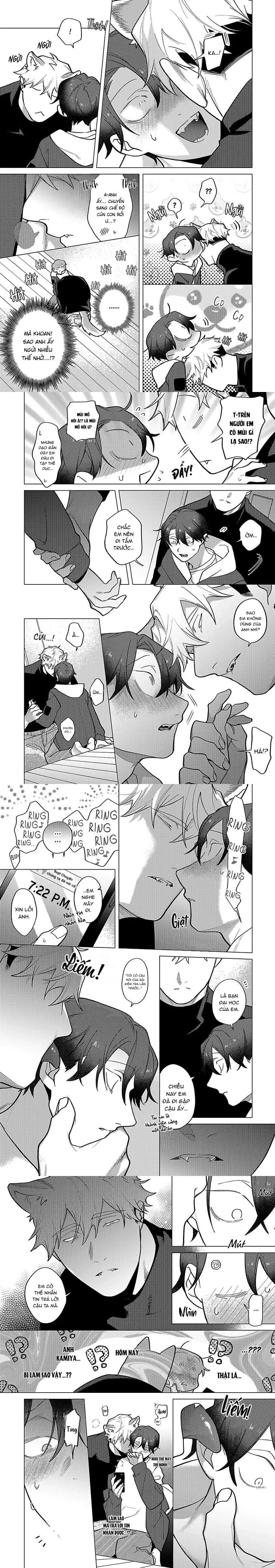 Ngấu nghiến tôi và cho tôi biết thế nào là yêu Chapter 8 Trang 5