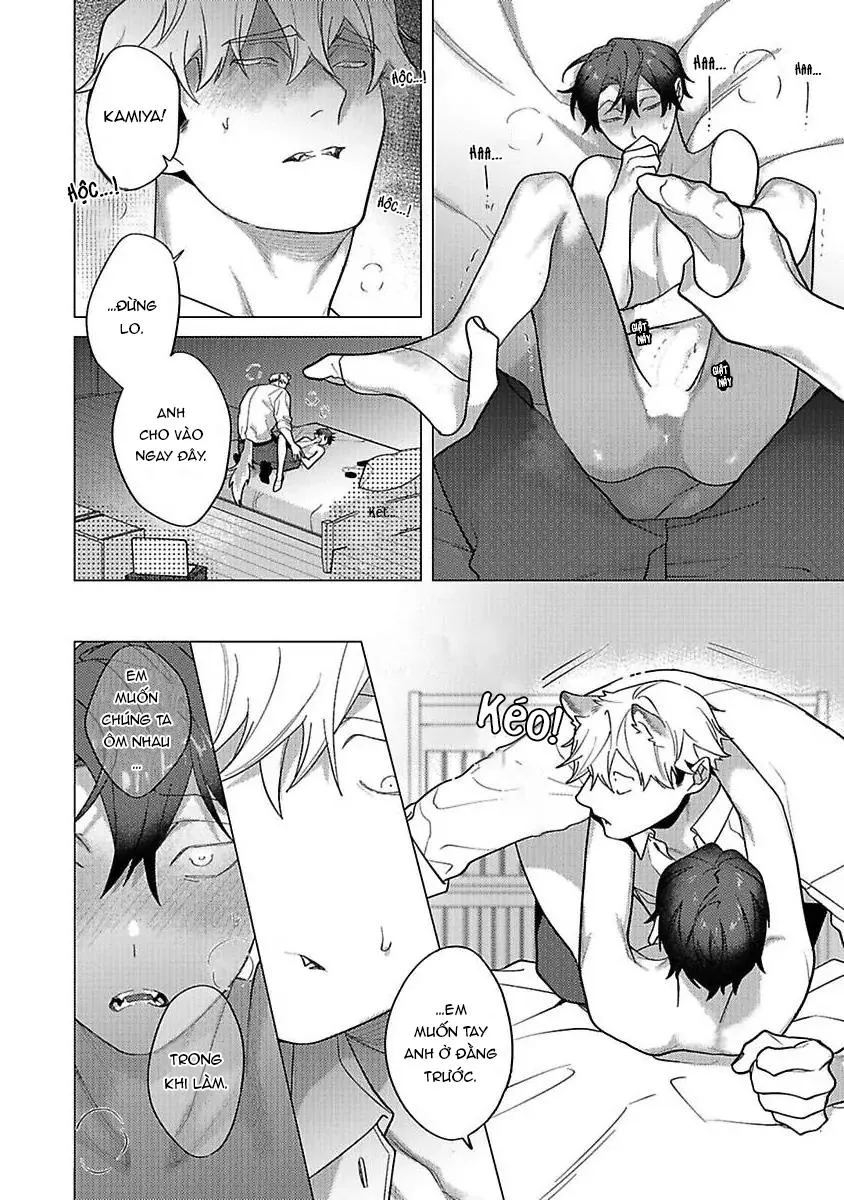 Ngấu nghiến tôi và cho tôi biết thế nào là yêu Chapter 10 Trang 20