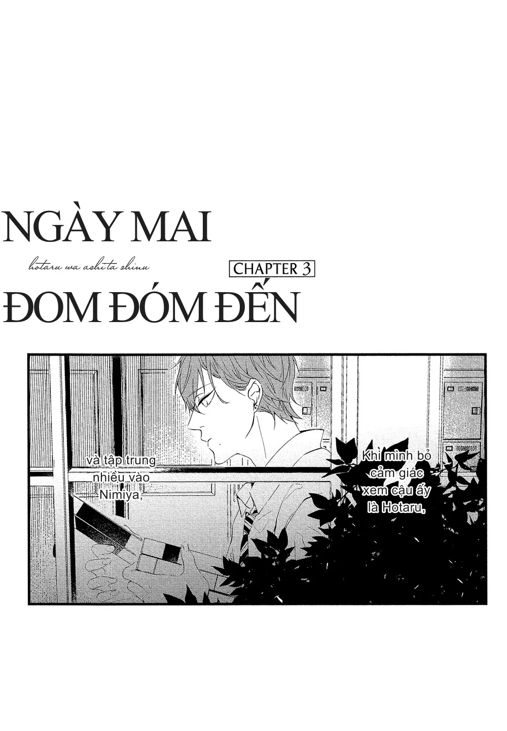 Ngày Mai Đom Đóm Đến Chapter 3 Trang 3