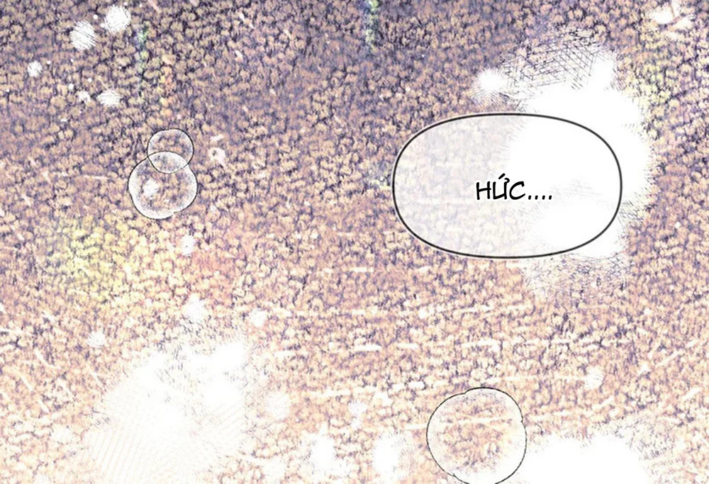 Ngày Và Đêm Chapter 21 Trang 12