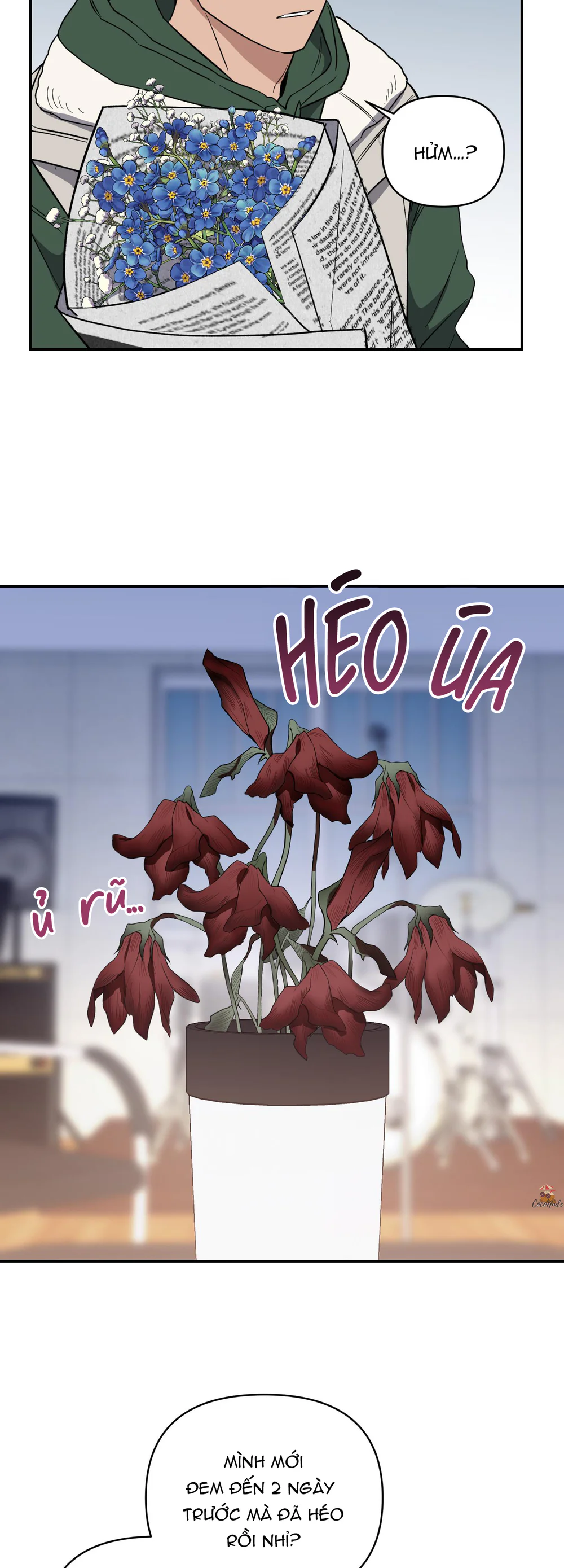 Nghe Nói Có Ma Trong Phòng CLB Chapter 23 Trang 5