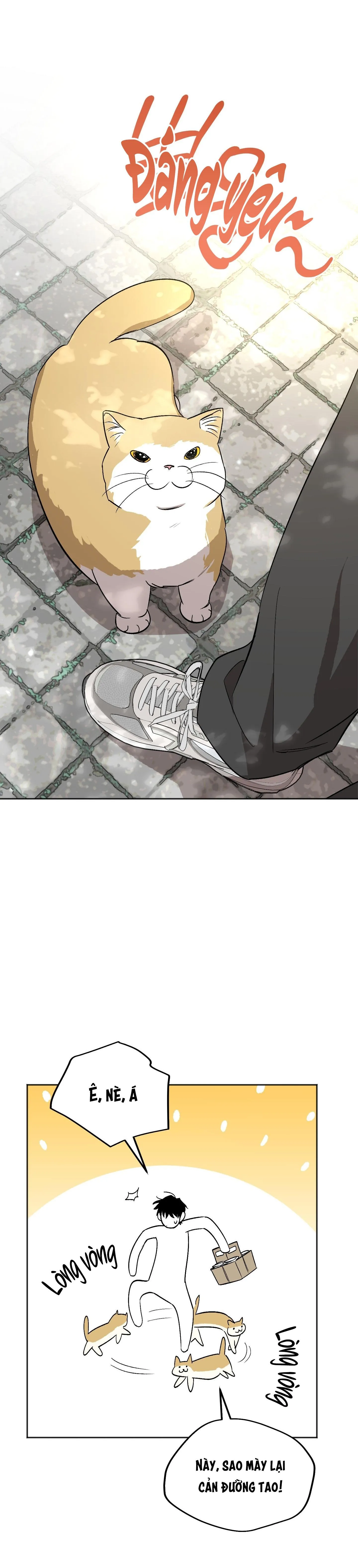 NGHI LỄ CẦU NGUYỆN Chapter 12 Trang 8