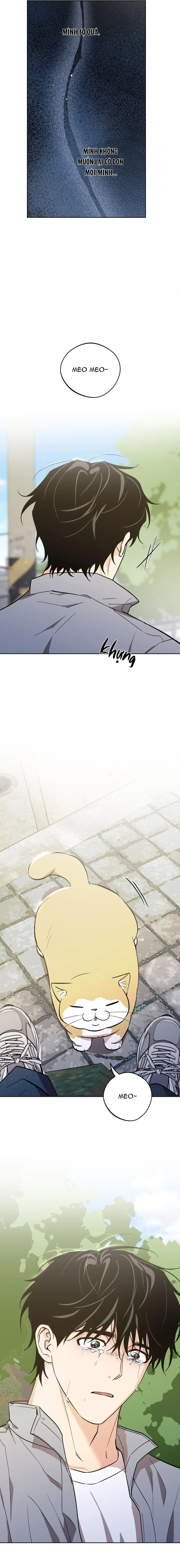 NGHI LỄ CẦU NGUYỆN Chapter 31 Trang 7