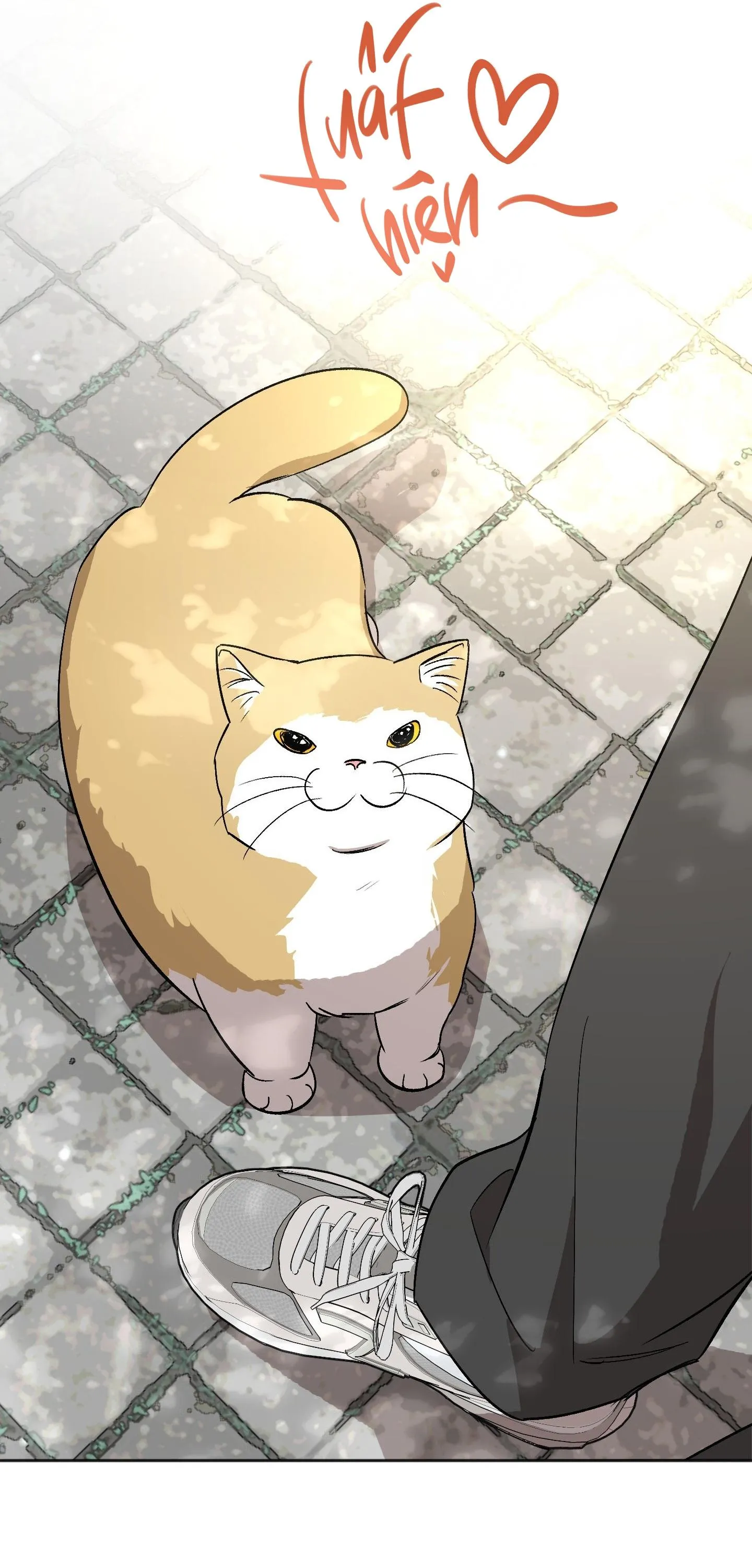 NGHI THỨC CẦU NGUYỆN Chapter 12 Trang 16