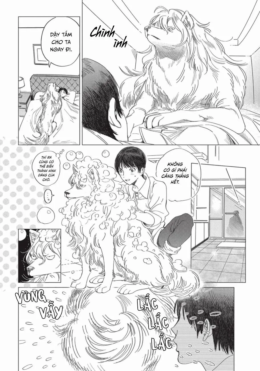 Nghĩa Vụ Của Tế Phẩm Chapter 2 Trang 3