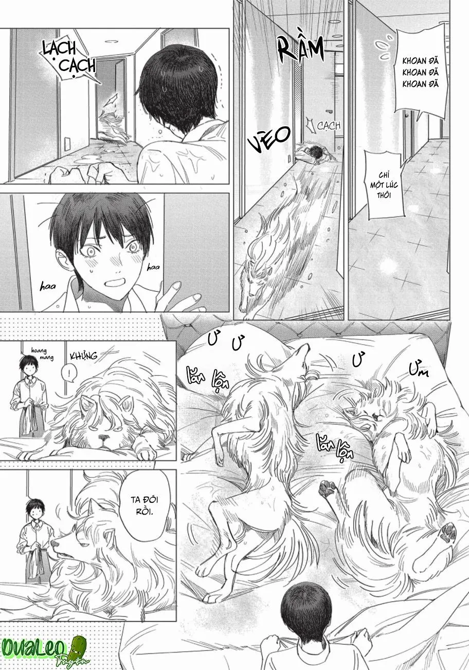 Nghĩa Vụ Của Tế Phẩm Chapter 2 Trang 4