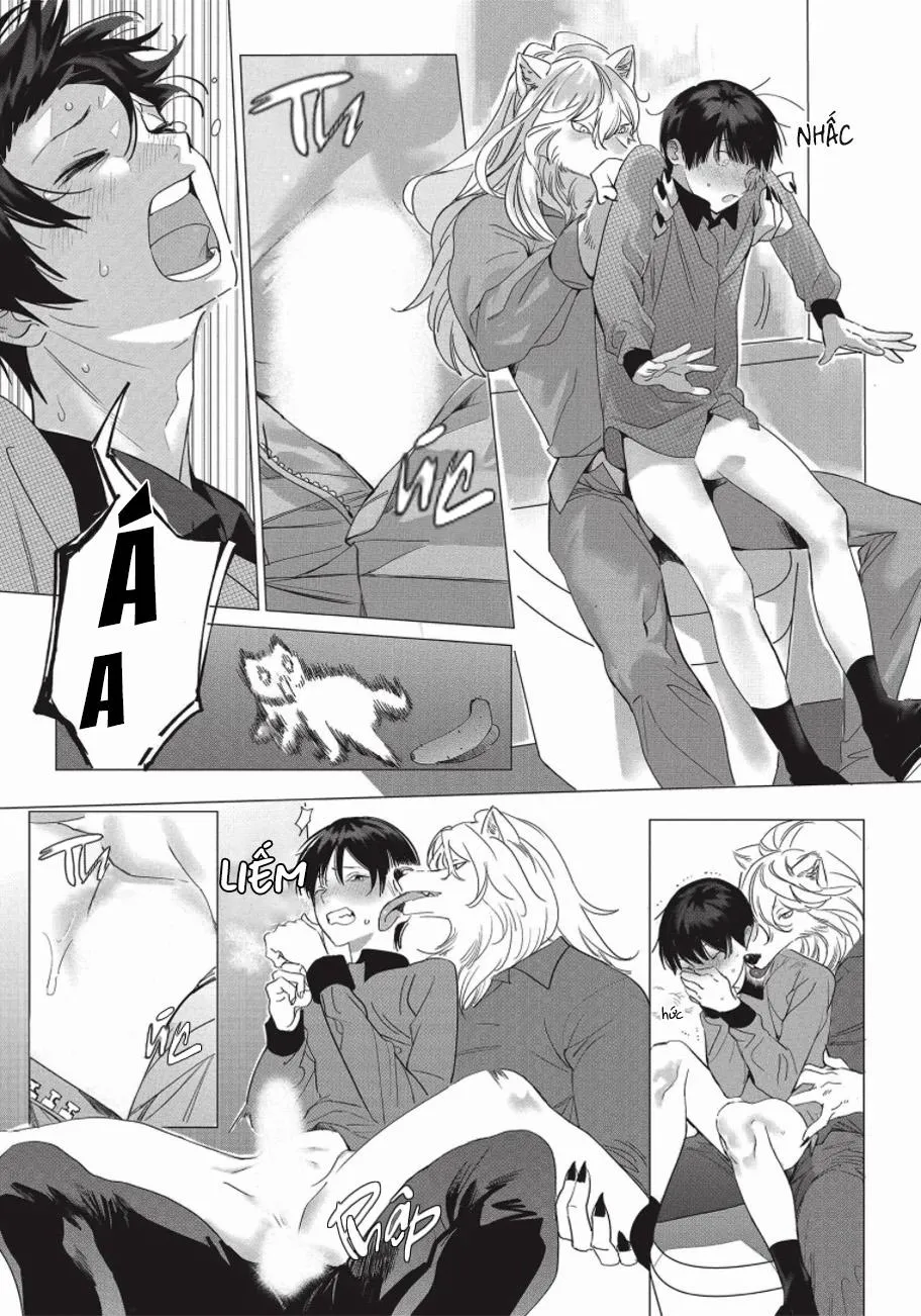 Nghĩa Vụ Của Tế Phẩm Chapter 2 Trang 20