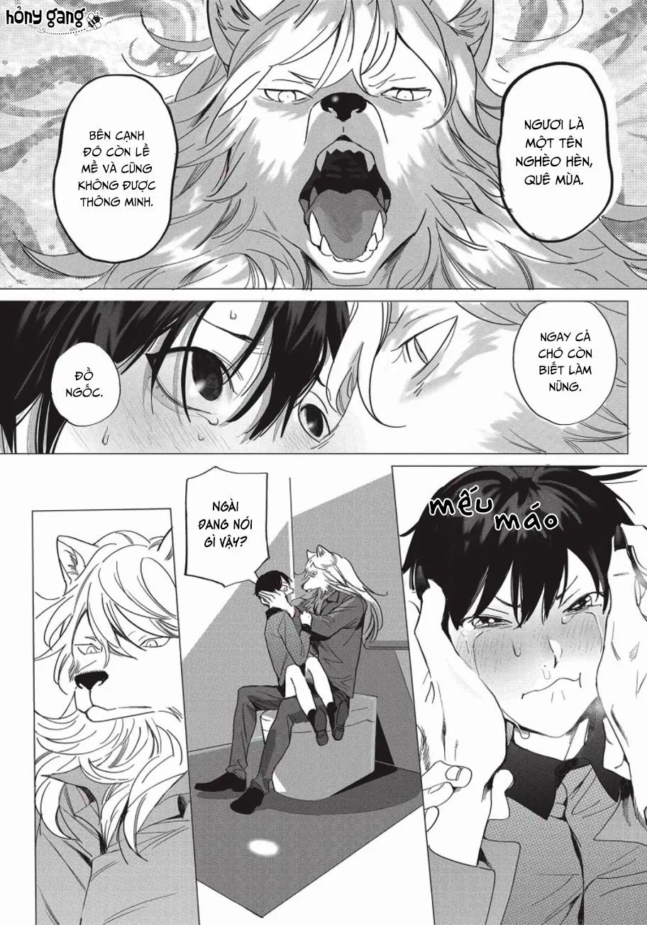 Nghĩa Vụ Của Tế Phẩm Chapter 2 Trang 22