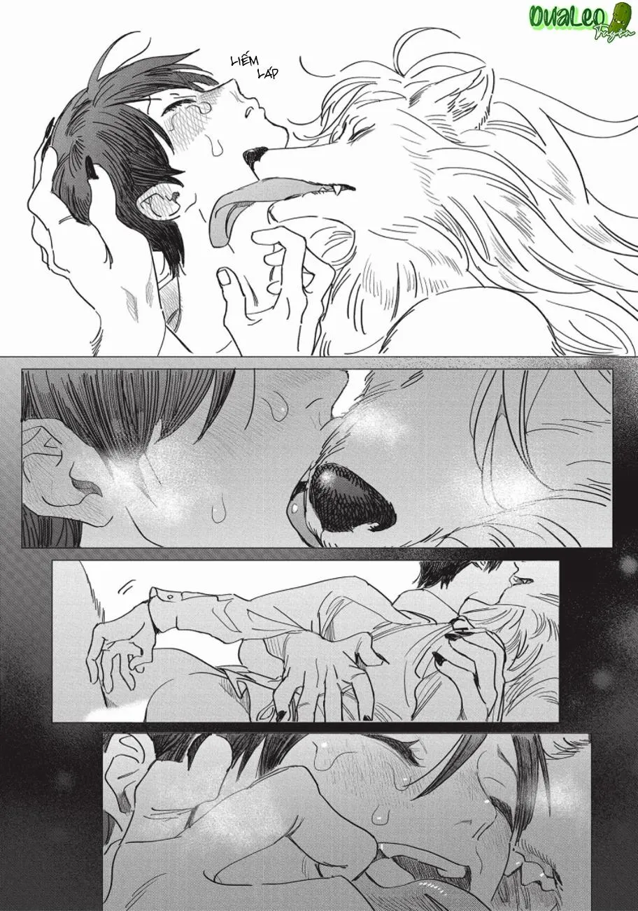 Nghĩa Vụ Của Tế Phẩm Chapter 3 Trang 20