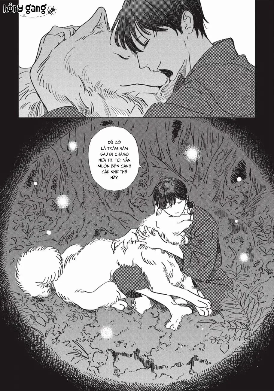 Nghĩa Vụ Của Tế Phẩm Chapter 3 Trang 26