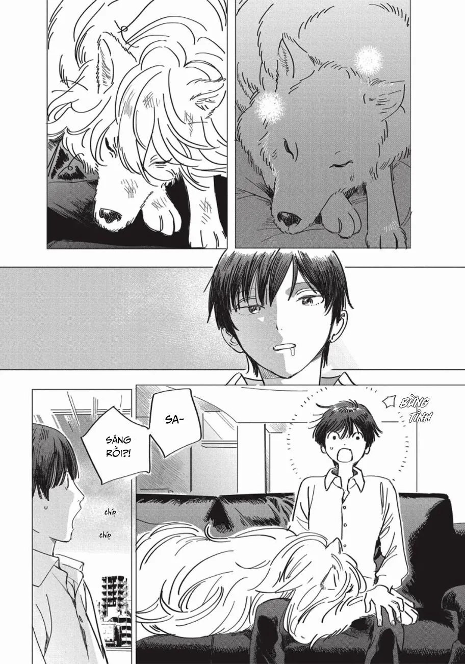 Nghĩa Vụ Của Tế Phẩm Chapter 3 Trang 27