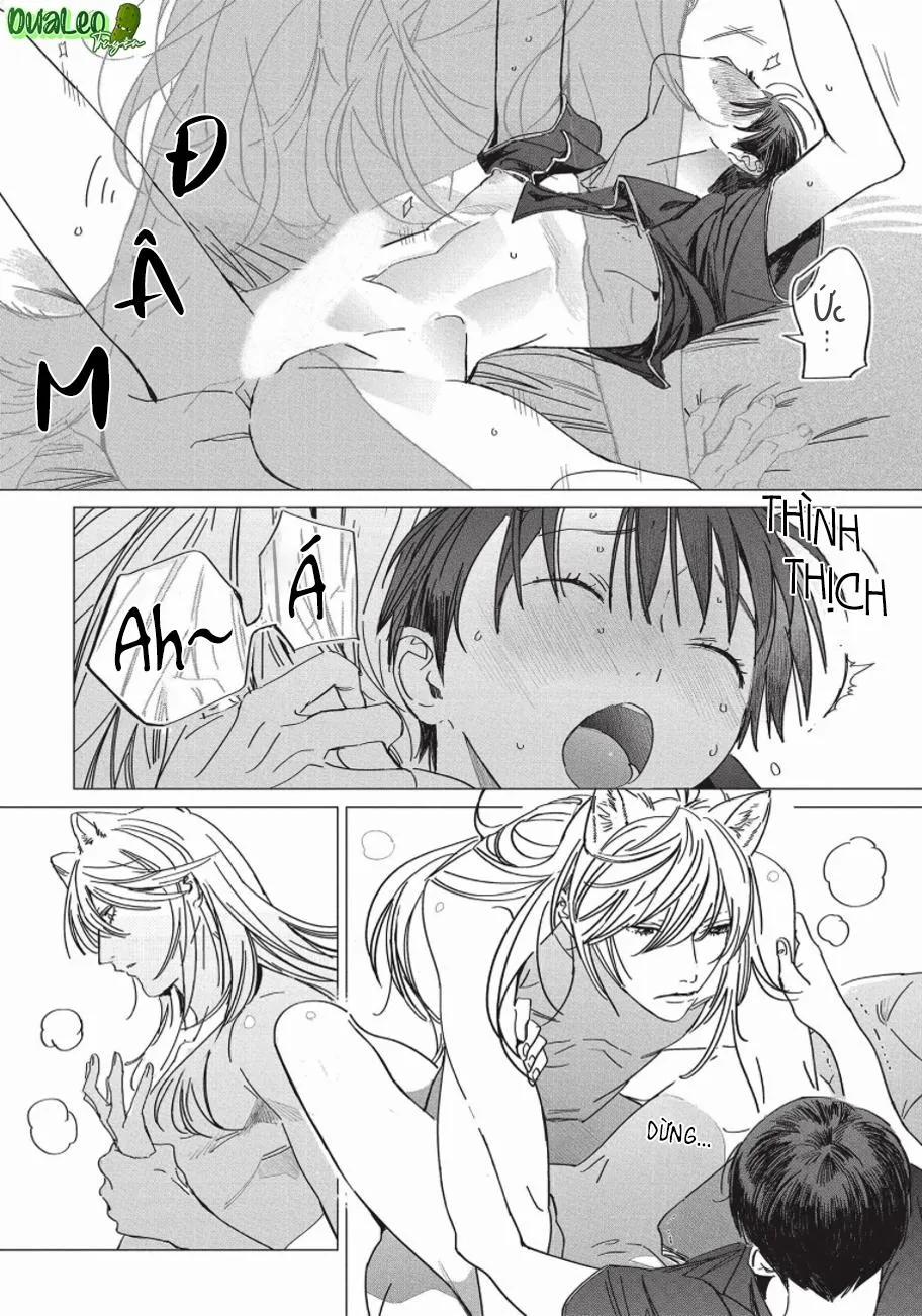 Nghĩa Vụ Của Tế Phẩm Chapter 4 Trang 25