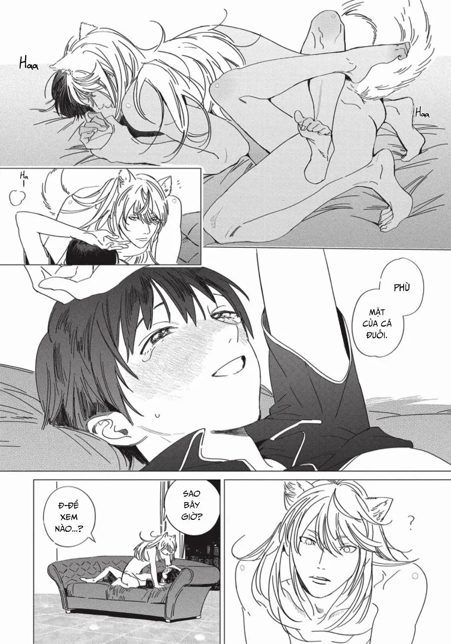 Nghĩa Vụ Của Tế Phẩm Chapter 4 Trang 27