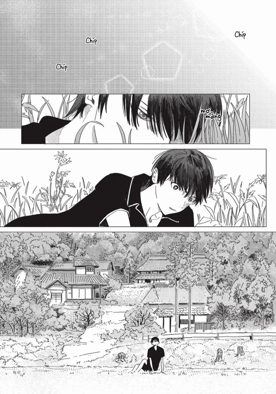 Nghĩa Vụ Của Tế Phẩm Chapter 4 Trang 29