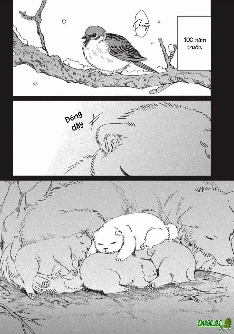 Nghĩa Vụ Của Tế Phẩm Chapter 5 Trang 3