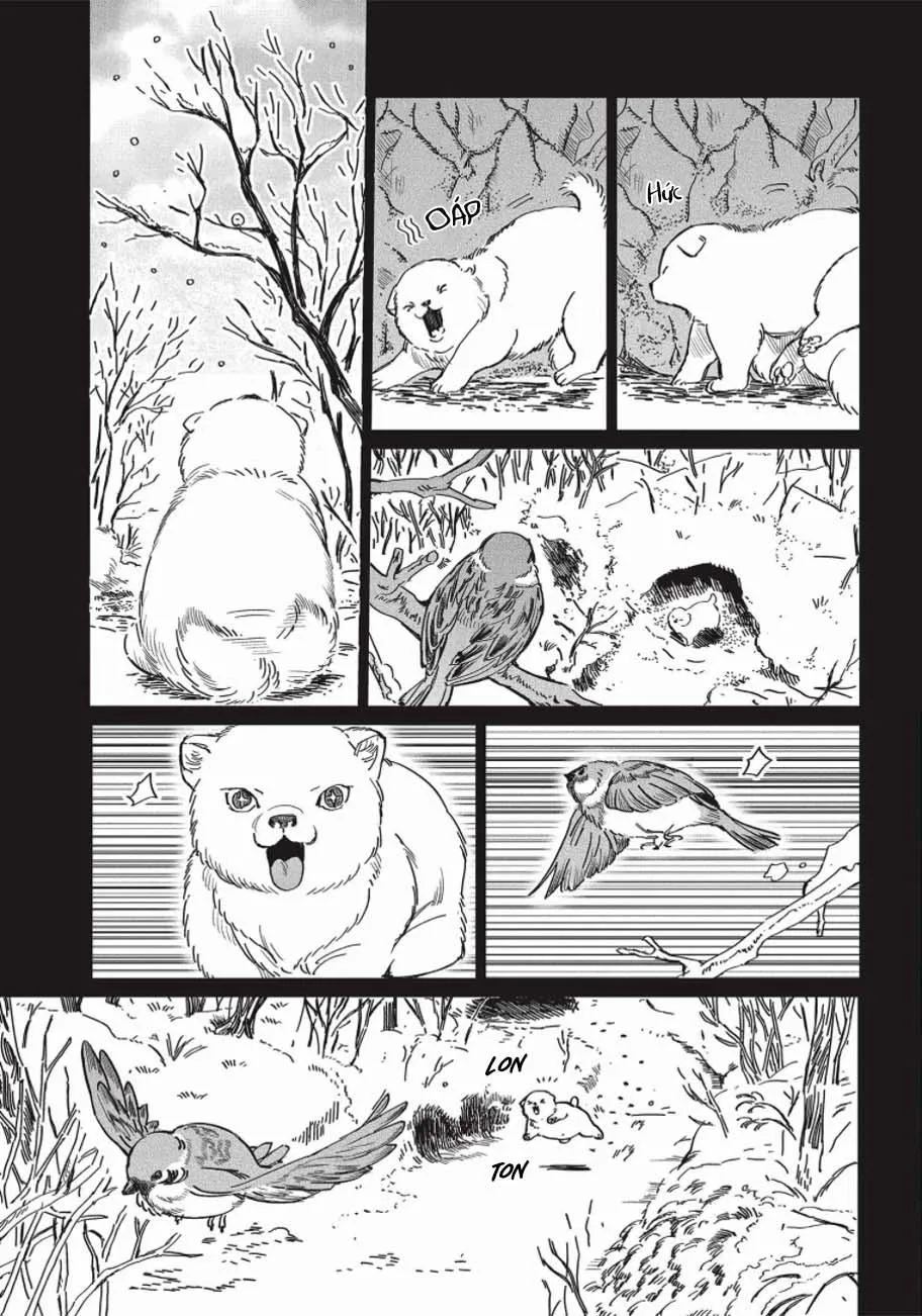 Nghĩa Vụ Của Tế Phẩm Chapter 5 Trang 4