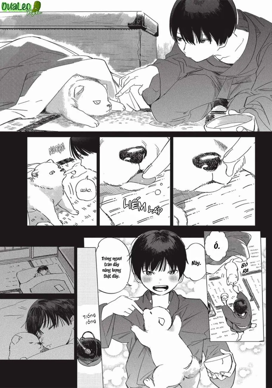 Nghĩa Vụ Của Tế Phẩm Chapter 5 Trang 8