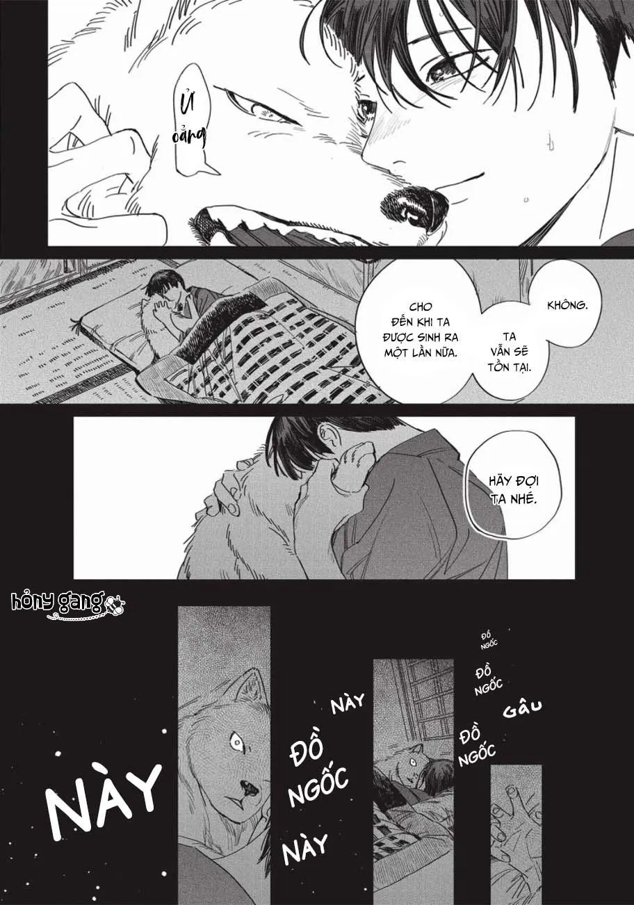 Nghĩa Vụ Của Tế Phẩm Chapter 5 Trang 13