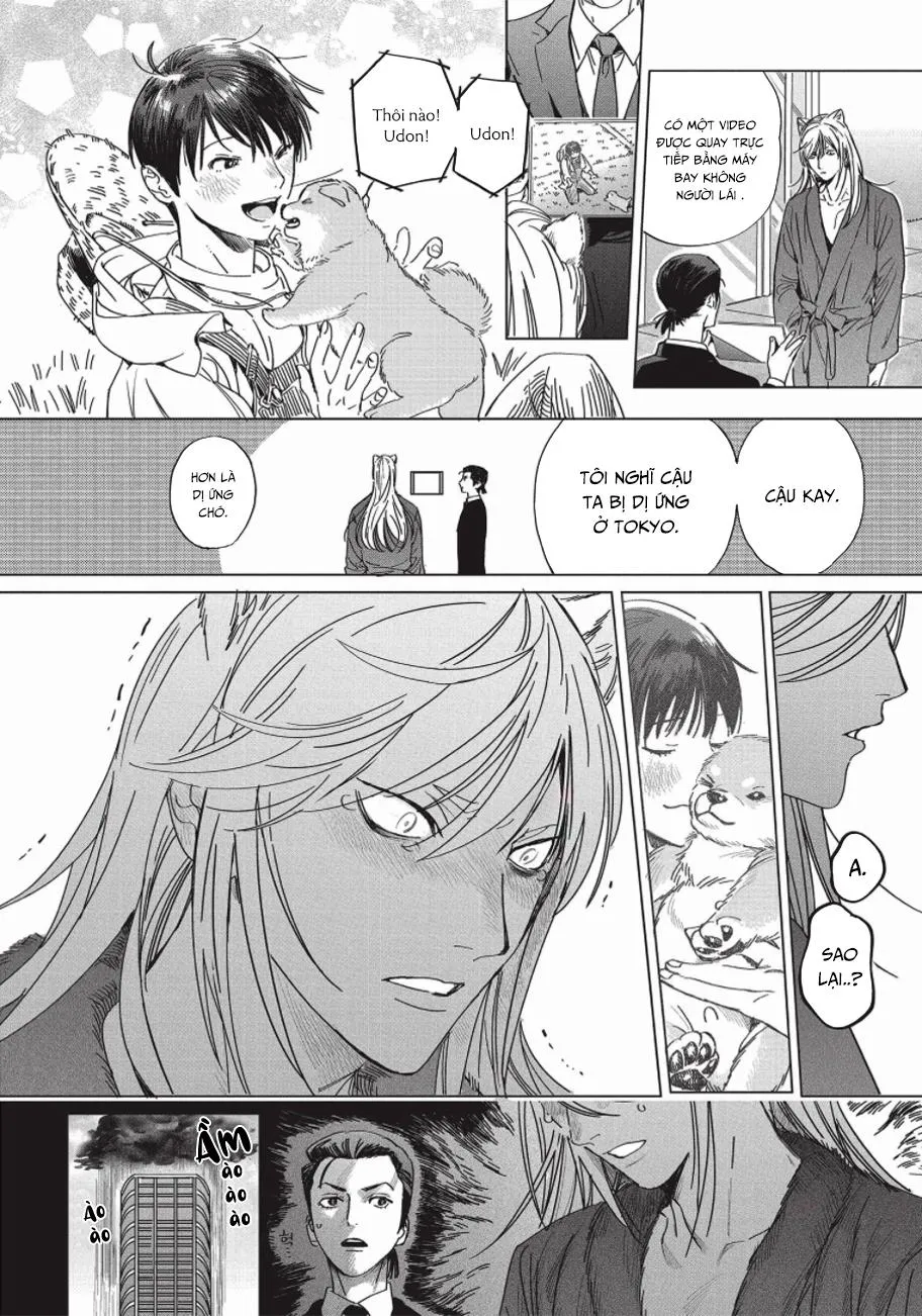 Nghĩa Vụ Của Tế Phẩm Chapter 5 Trang 19