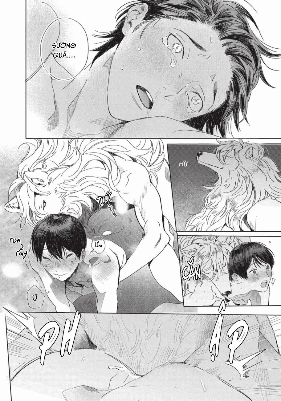 Nghĩa Vụ Của Tế Phẩm Chapter 1 Trang 23