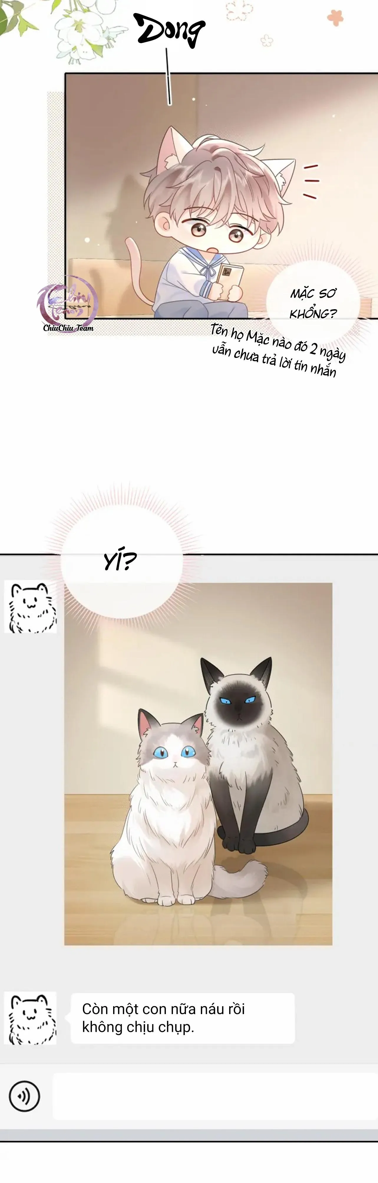 Nghiêm Cấm Bịa Đặt Tin Đồn Chapter 5 Trang 24