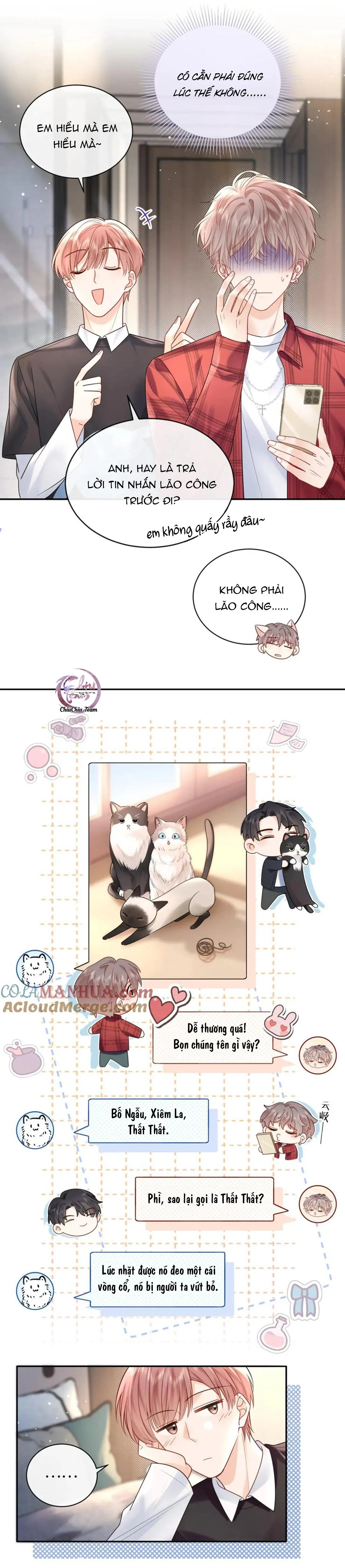 Nghiêm Cấm Bịa Đặt Tin Đồn Chapter 10 Trang 11